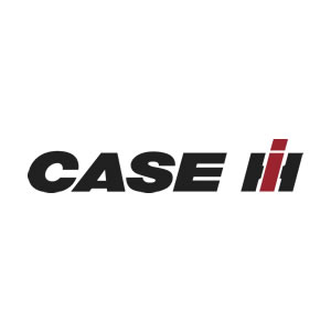 case